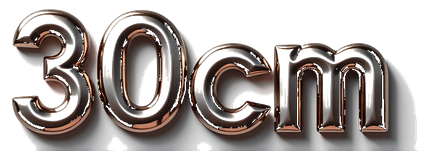 30cm logo